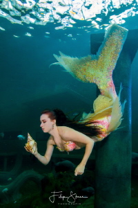 Mermaid Céline @ TODI, Belgium. by Filip Staes 